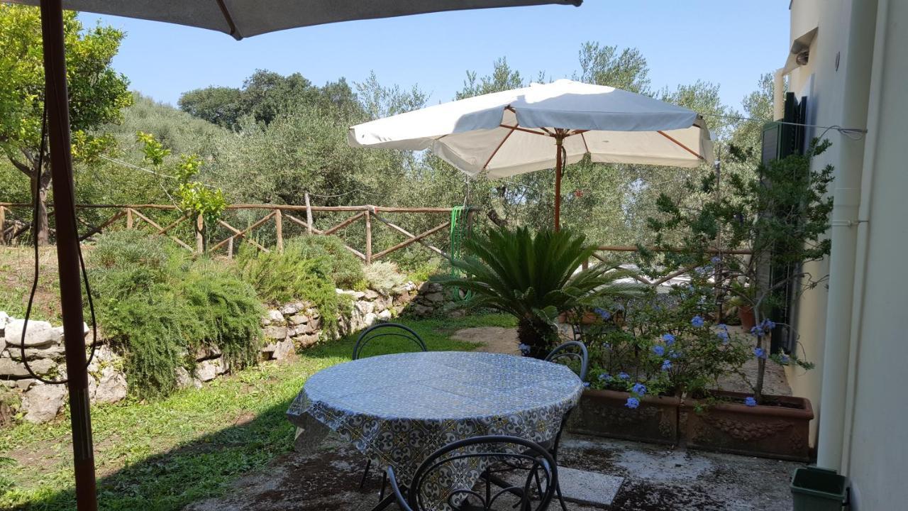 Gli Ulivi Agriturismo Sant'Agnello Dış mekan fotoğraf