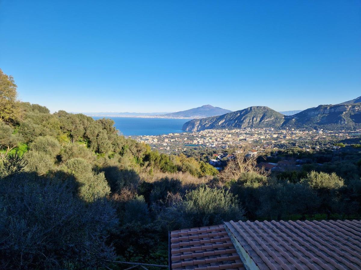 Gli Ulivi Agriturismo Sant'Agnello Dış mekan fotoğraf