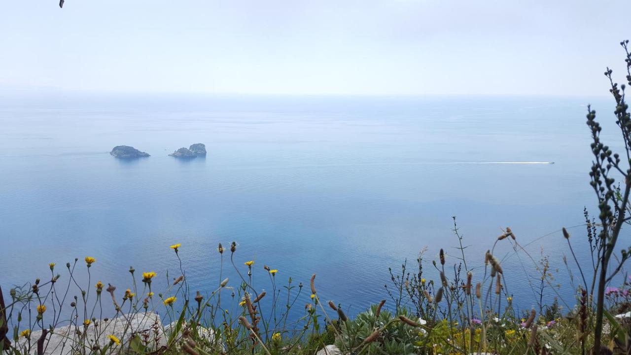 Gli Ulivi Agriturismo Sant'Agnello Dış mekan fotoğraf