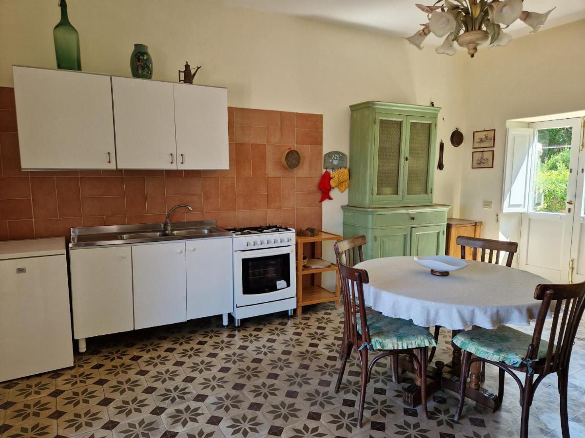 Gli Ulivi Agriturismo Sant'Agnello Dış mekan fotoğraf