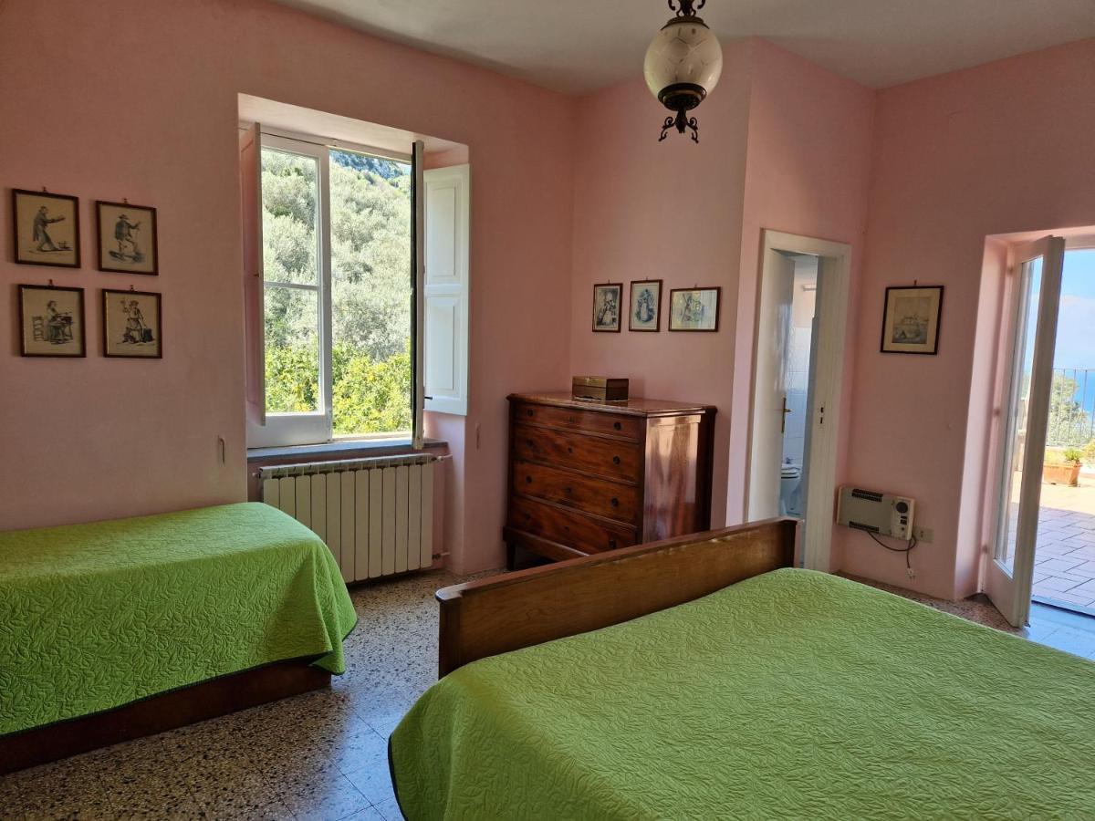 Gli Ulivi Agriturismo Sant'Agnello Dış mekan fotoğraf