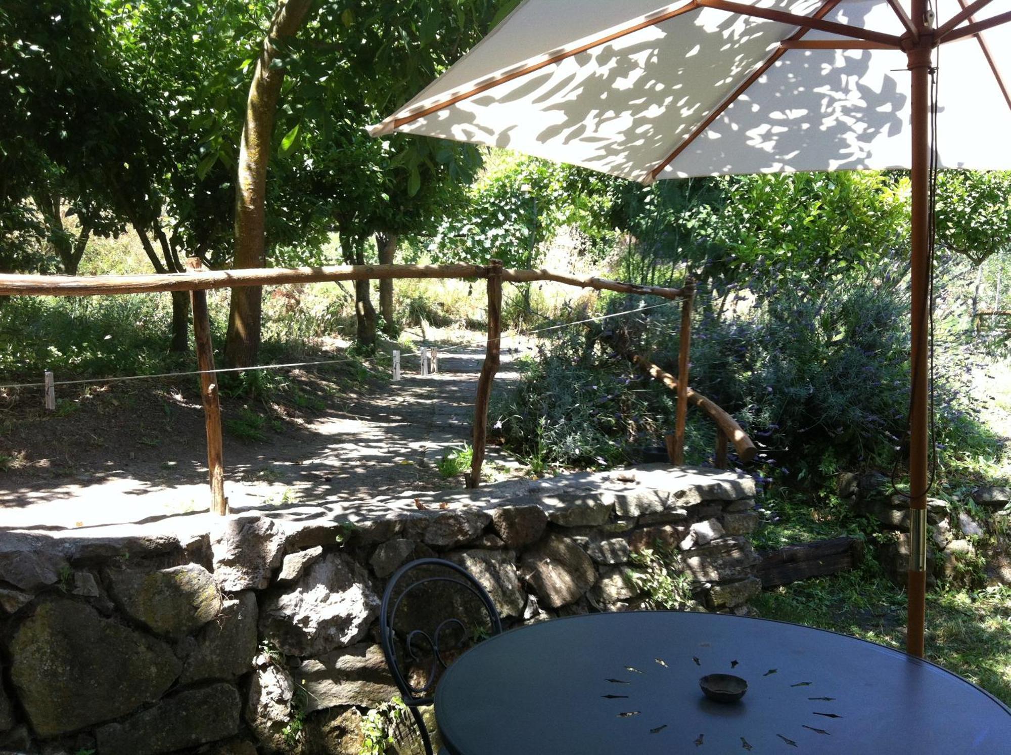 Gli Ulivi Agriturismo Sant'Agnello Dış mekan fotoğraf