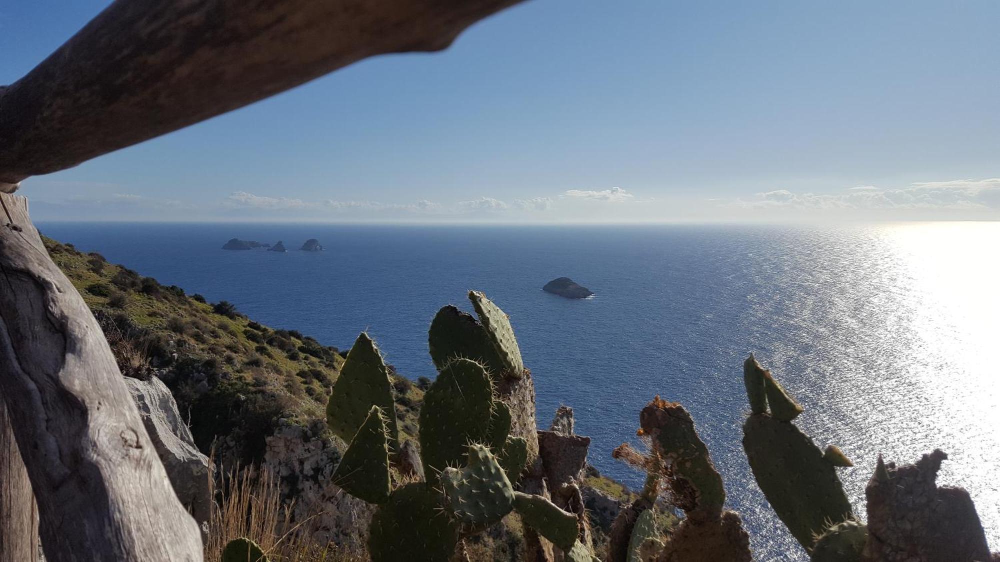 Gli Ulivi Agriturismo Sant'Agnello Dış mekan fotoğraf