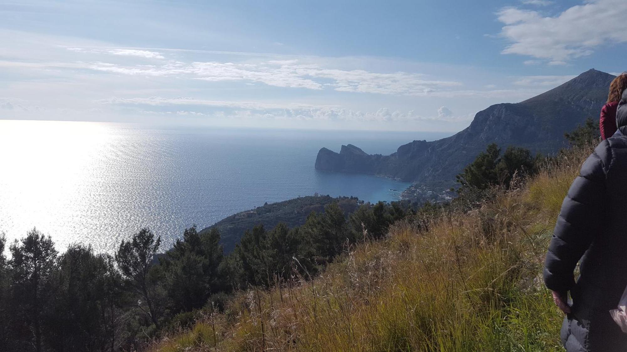 Gli Ulivi Agriturismo Sant'Agnello Dış mekan fotoğraf