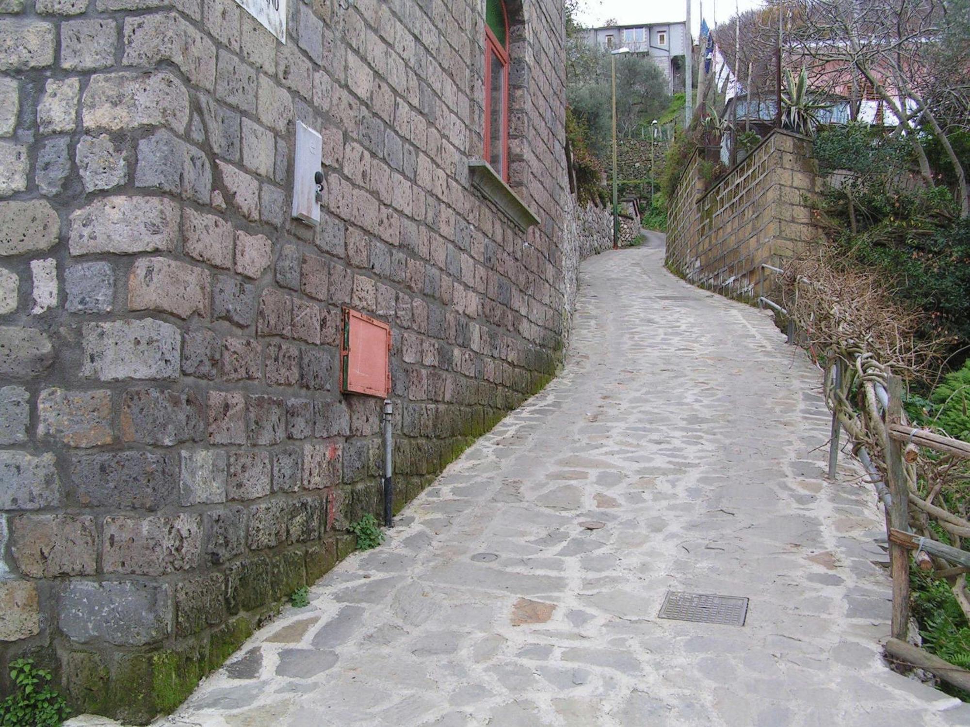 Gli Ulivi Agriturismo Sant'Agnello Dış mekan fotoğraf