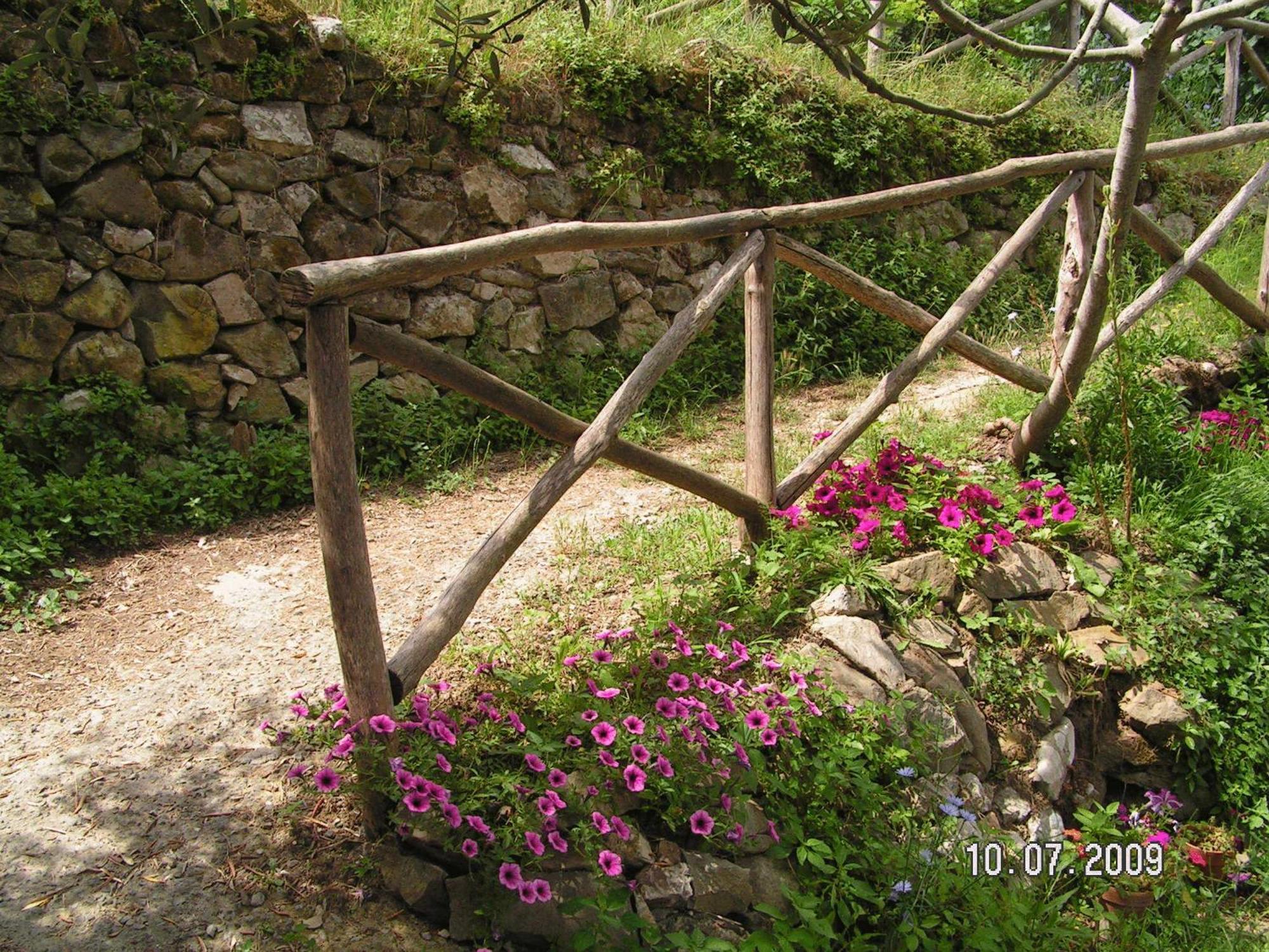 Gli Ulivi Agriturismo Sant'Agnello Dış mekan fotoğraf