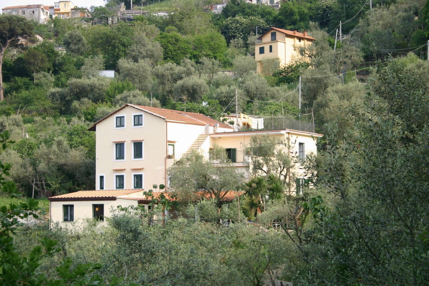 Gli Ulivi Agriturismo Sant'Agnello Dış mekan fotoğraf
