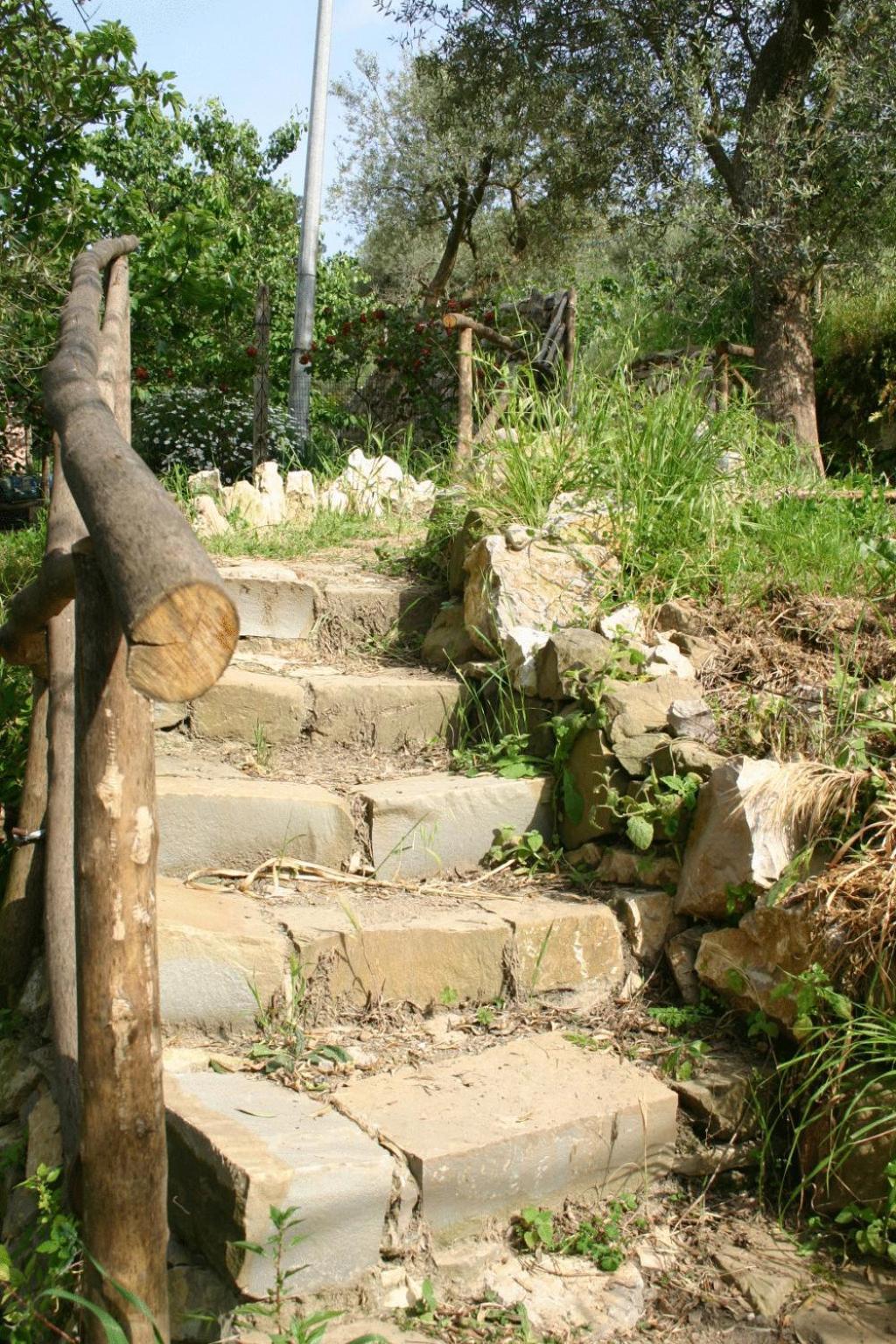 Gli Ulivi Agriturismo Sant'Agnello Dış mekan fotoğraf