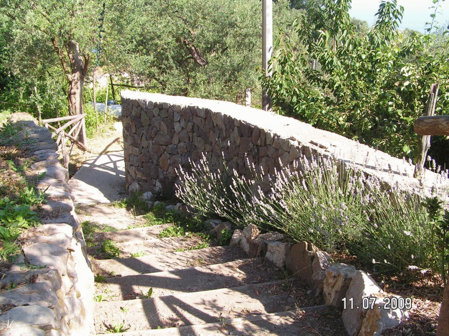 Gli Ulivi Agriturismo Sant'Agnello Dış mekan fotoğraf