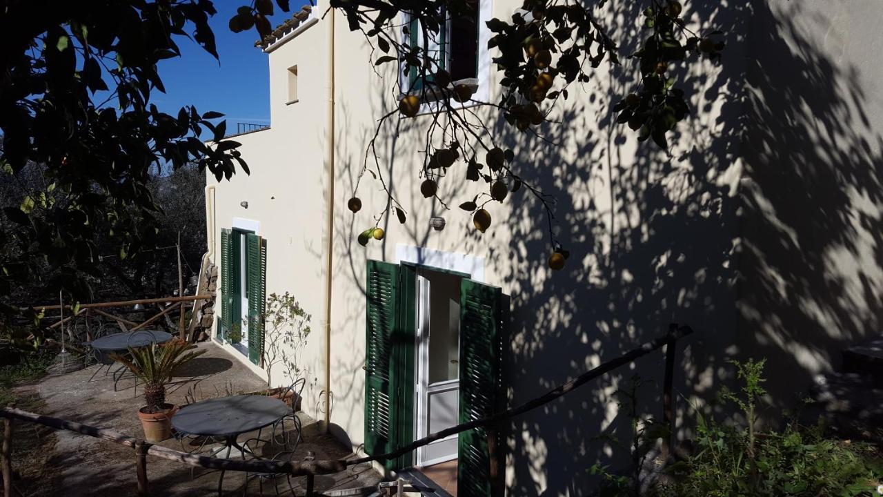 Gli Ulivi Agriturismo Sant'Agnello Dış mekan fotoğraf