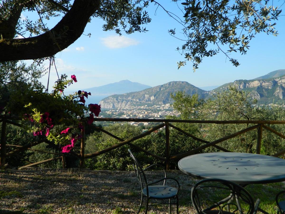Gli Ulivi Agriturismo Sant'Agnello Dış mekan fotoğraf