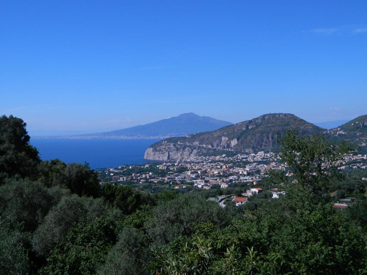 Gli Ulivi Agriturismo Sant'Agnello Dış mekan fotoğraf